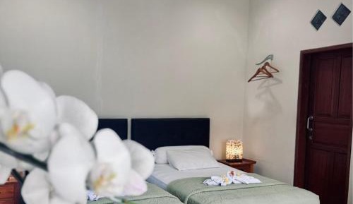 Deluxe Double or Twin Room with Pool Access