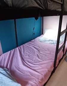 Bunk Bed in Mixed Dormitory Room