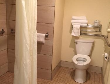 King Room with Roll-In Shower - Disability Access