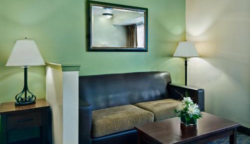 King Suite Sleeper Sofa