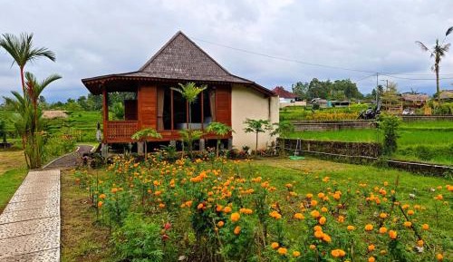 Villa with Garden View