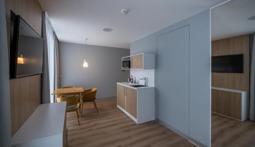 Double Suite with Sofa Bed and Mountain View
