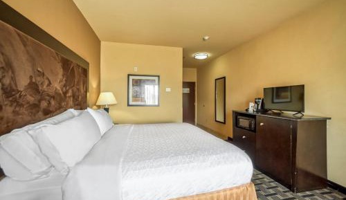 Standard King Room with Sofa Bed and Communications Accessible Tub 