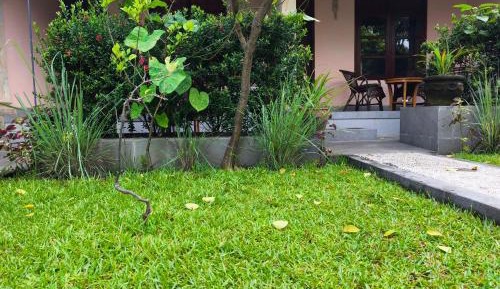 Family Room with Ocean View (4 adults)