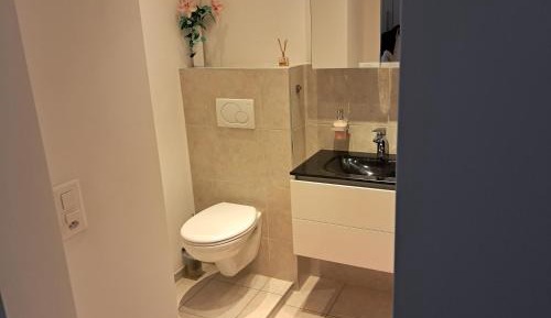 Superior Single Room with Lake View