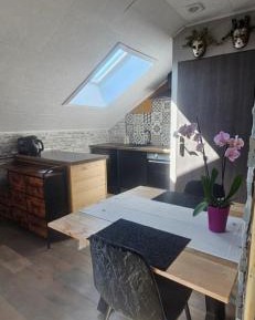 Deluxe One-Bedroom Apartment