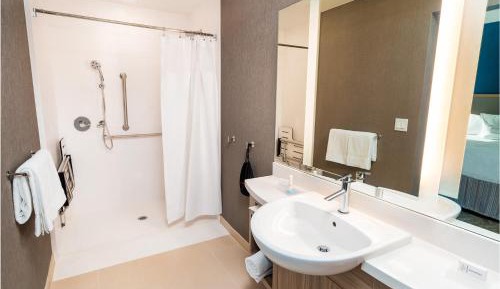 Queen Suite with Roll-In Shower - Mobility Accessible