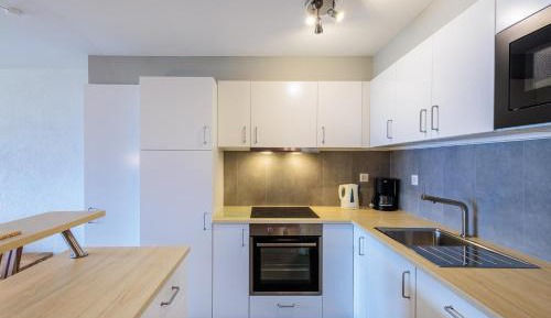 One-Bedroom Apartment with View
