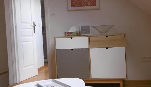 One-Bedroom Premier Apartment