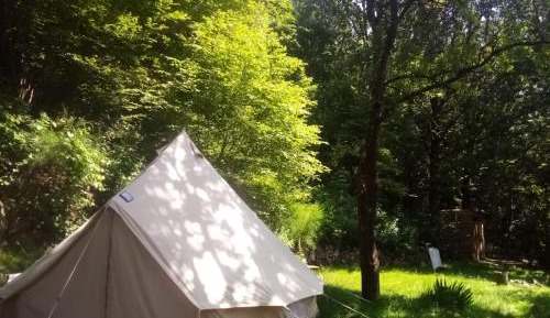 Tent