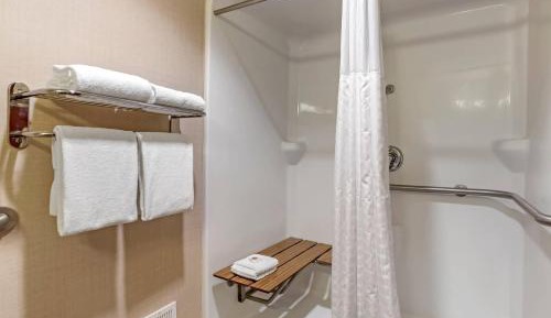 King Suite with Roll in Shower - Accessible/Non-Smoking