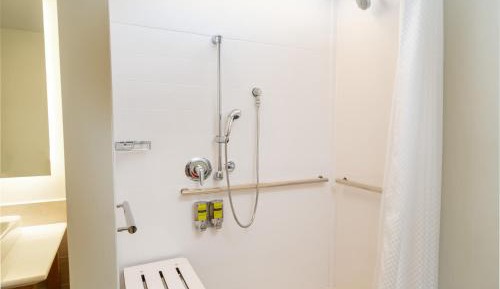 Studio Queen Suite - Mobility Accessible with Roll-In Shower