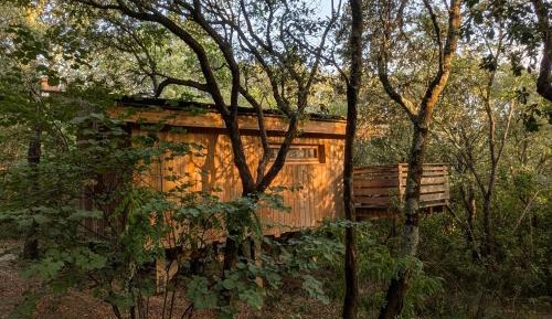 Double or Twin Cabin