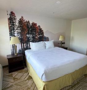 One-Bedroom Suite