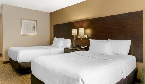 Queen Suite with Three Queen Beds - Non-Smoking