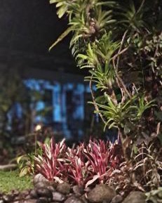 Triple Room with Garden View