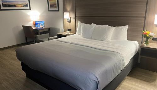 Queen Room with Roll-In Shower - Accessible/Non-Smoking