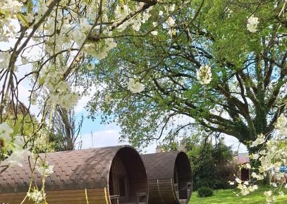 Deluxe Bungalow with Garden View