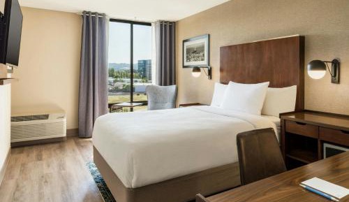 Double Room with Roll-In Shower - Mobility Accessible