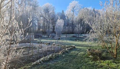 Triple Room - Disability Access