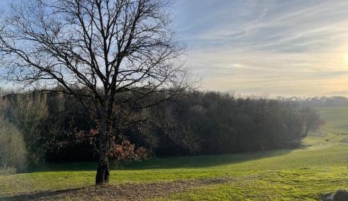 Double or Twin Room with Terrace