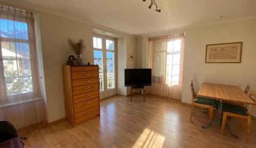 One-Bedroom Apartment with Balcony and Mountain View  