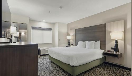 King Room with Roll-In Shower - Mobility Access