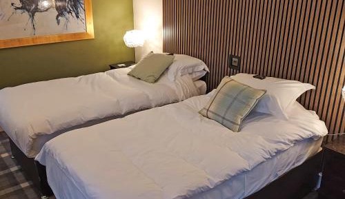 Deluxe Double or Twin Room with Garden View