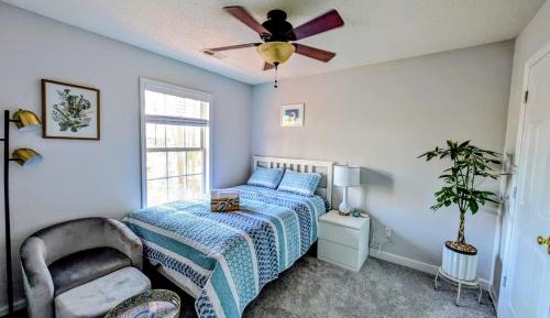 Double Room with Shared Bathroom