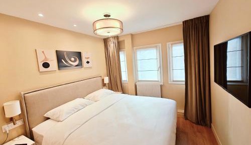 Deluxe One-Bedroom Apartment