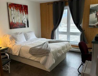 Standard Queen Room
