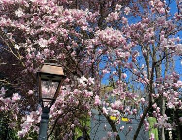 First Floor Family Suite with Balcony