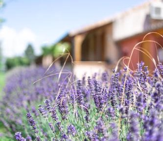 First Floor Family Room