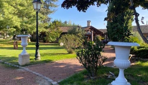 Triple Room with Terrace