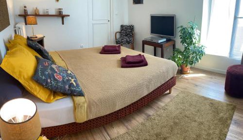 Superior Queen Room