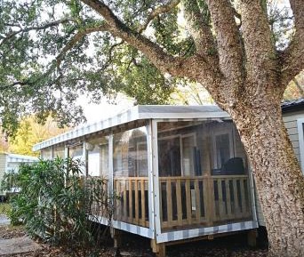 Mobile Home