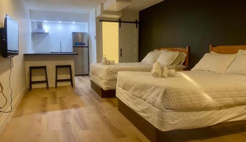Superior Apartment