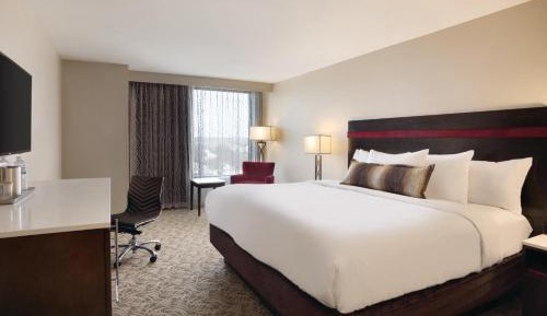 Premium King Room