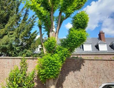 Double Room - Disability Access