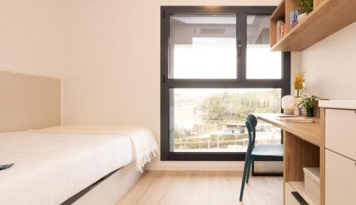 Budget Single Room