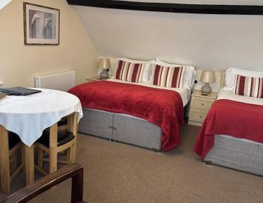 Family Room with Shower