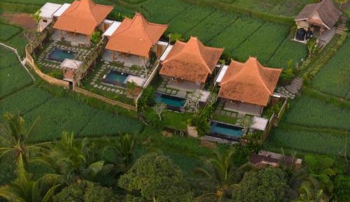 Double Room with Pool View