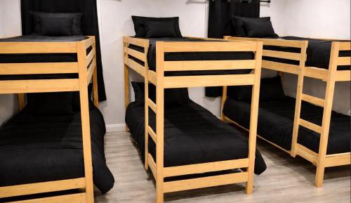 Bunk Bed in Mixed Dormitory Room