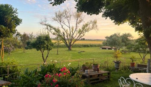 Quadruple Room with Garden View