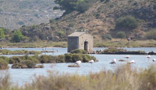 Superior One-Bedroom Apartment