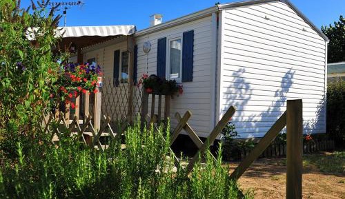 Mobile Home