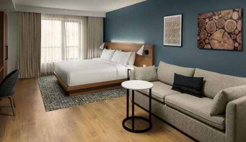 King Studio with Sofa Bed - No View