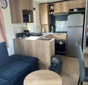 Mobile Home
