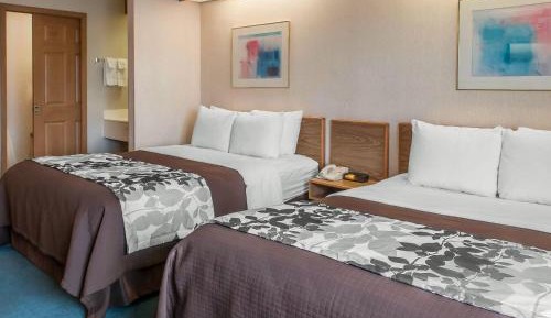 Queen Room with Two Queen Beds - Non-Smoking
