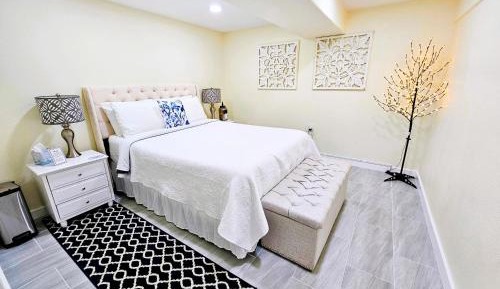 Deluxe One-Bedroom Apartment